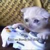 jasonbob223
